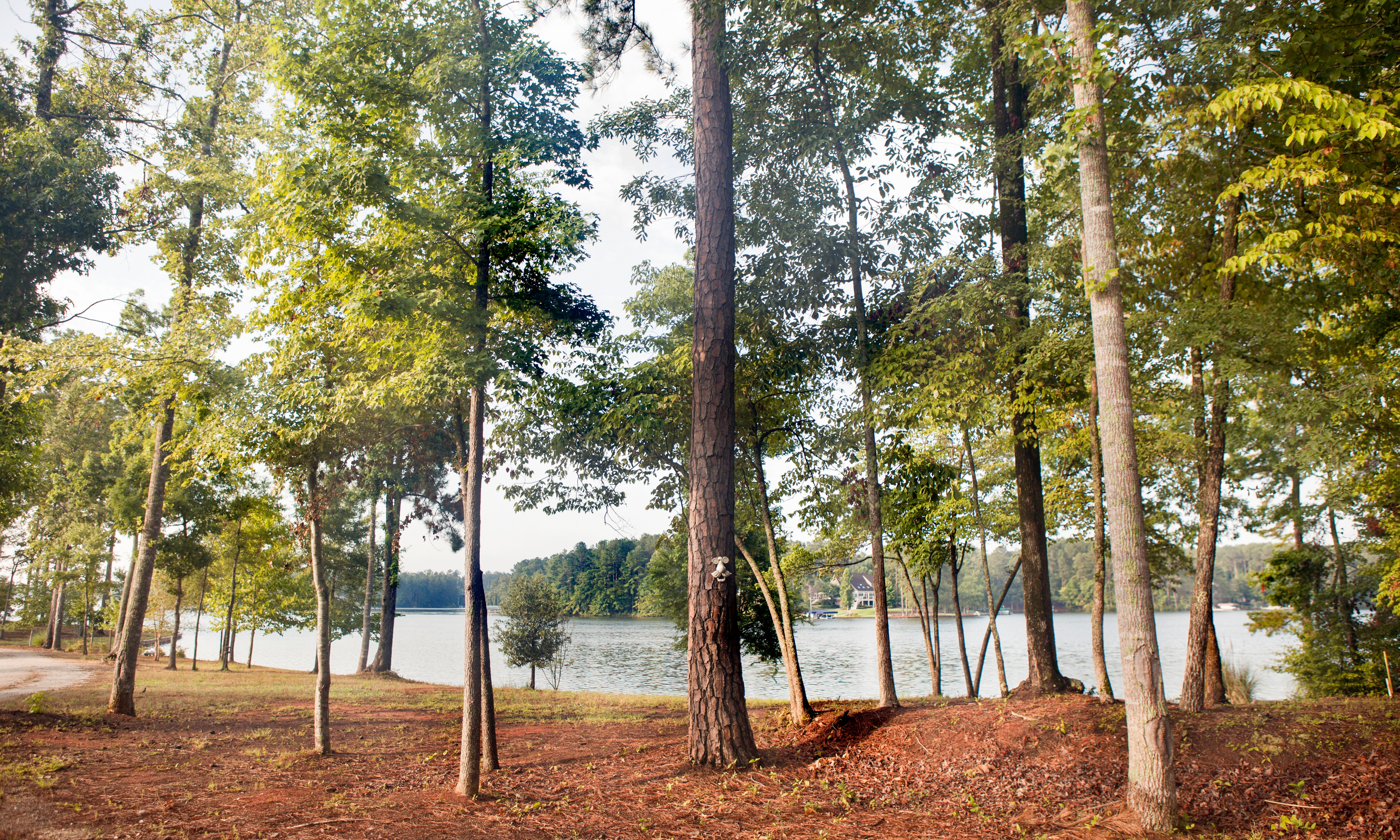 luxury yacht rental lake oconee