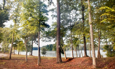 Rentals with a firepit in Lake Oconee