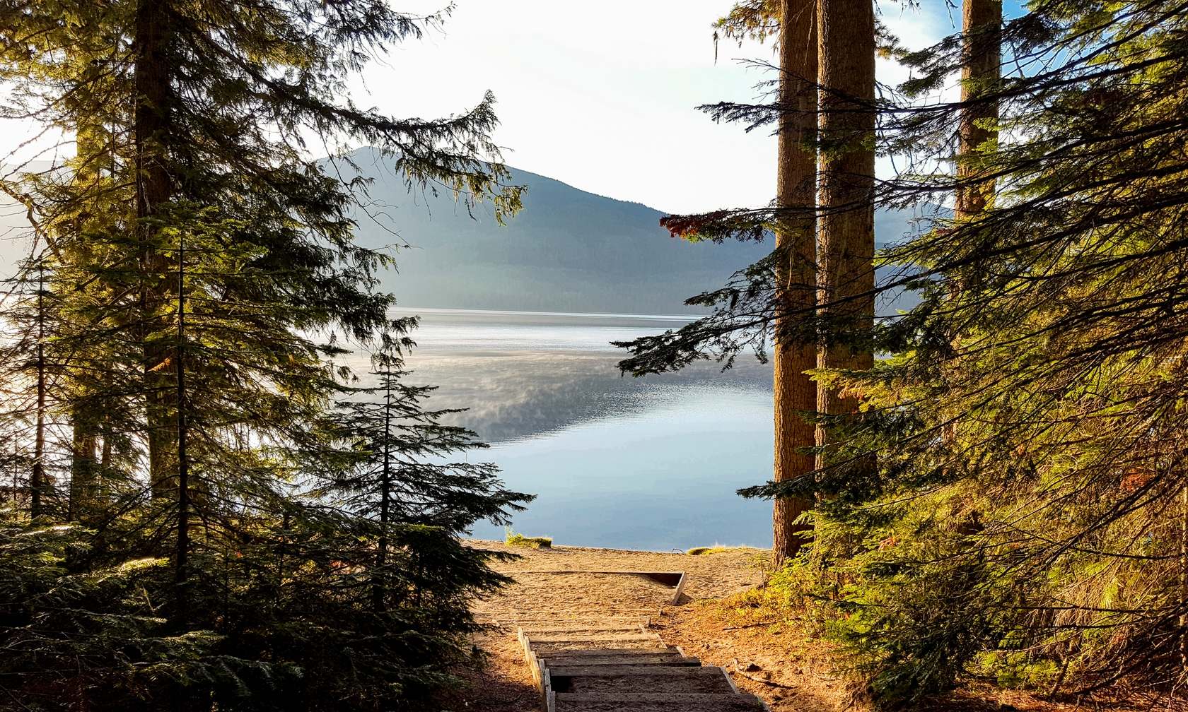Cabin and house vacation rentals in Priest Lake