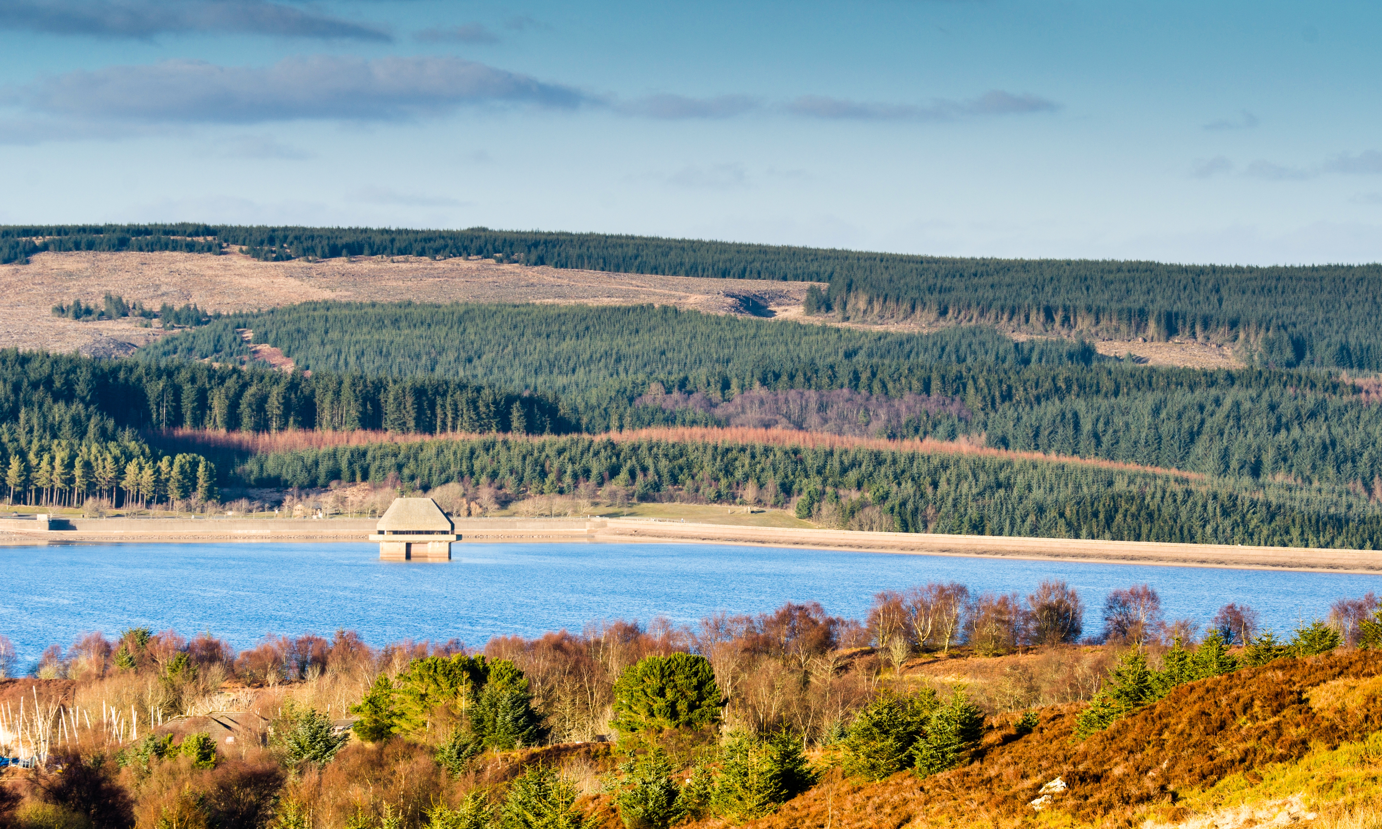 Kielder forest best sale dog friendly accommodation