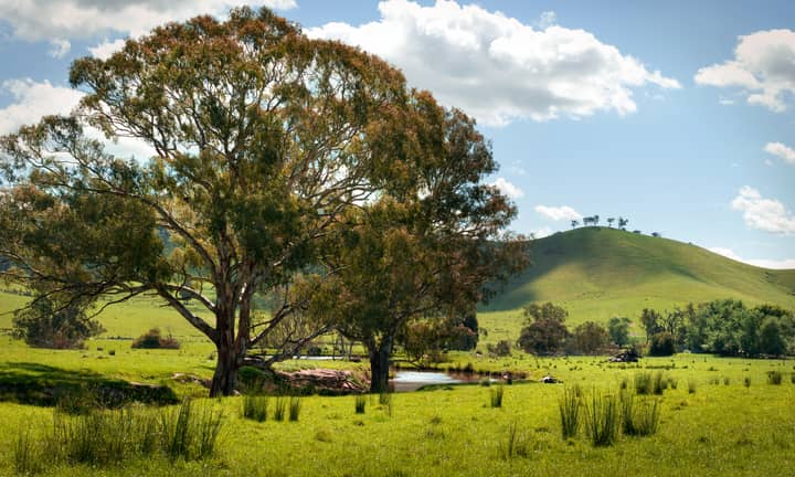 Yea Holiday Rentals & Homes - Victoria, Australia | Airbnb