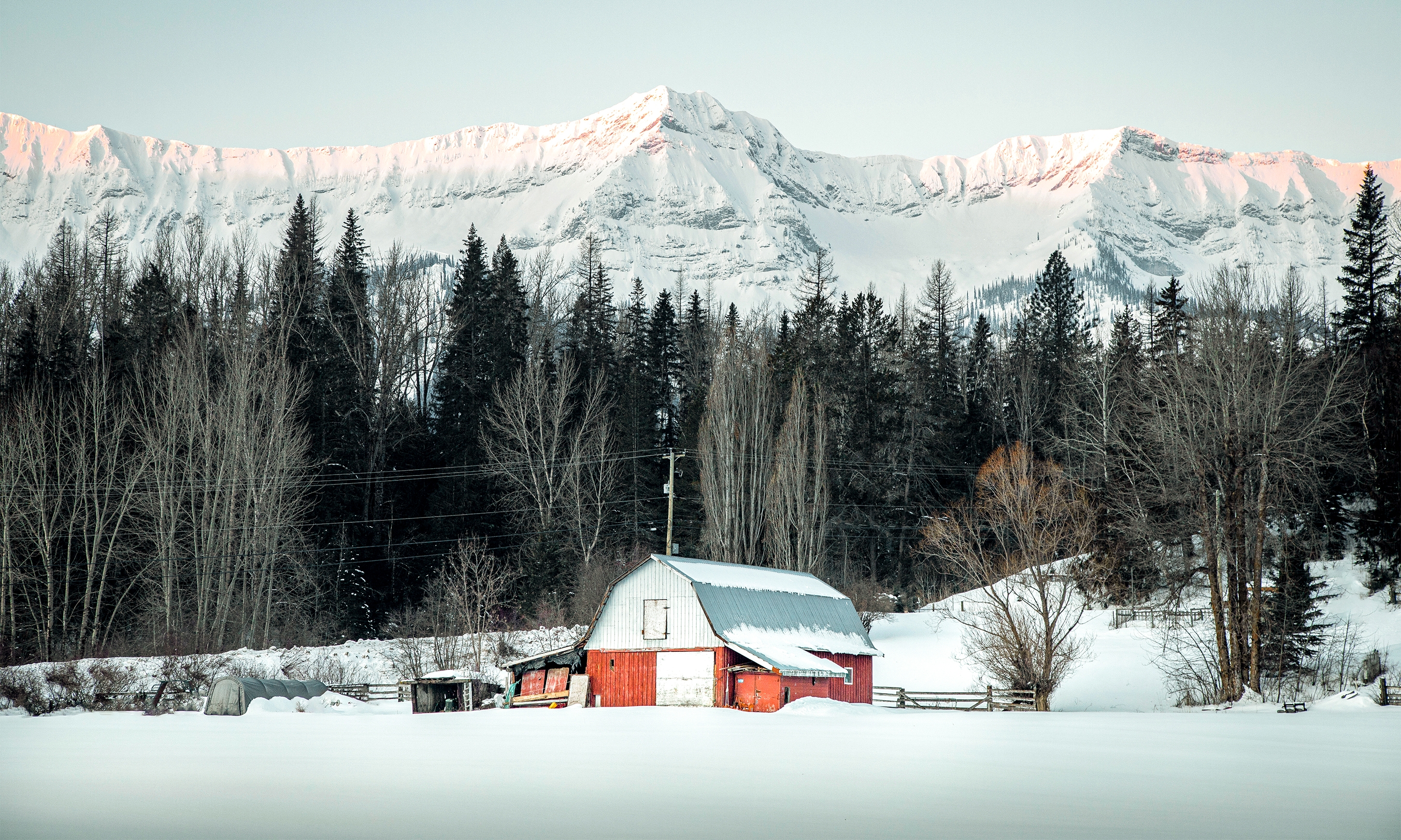 Fernie Vacation Rentals & Homes - British Columbia, Canada | Airbnb