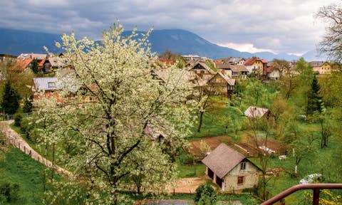 شقق للإيجار في Lake Bled