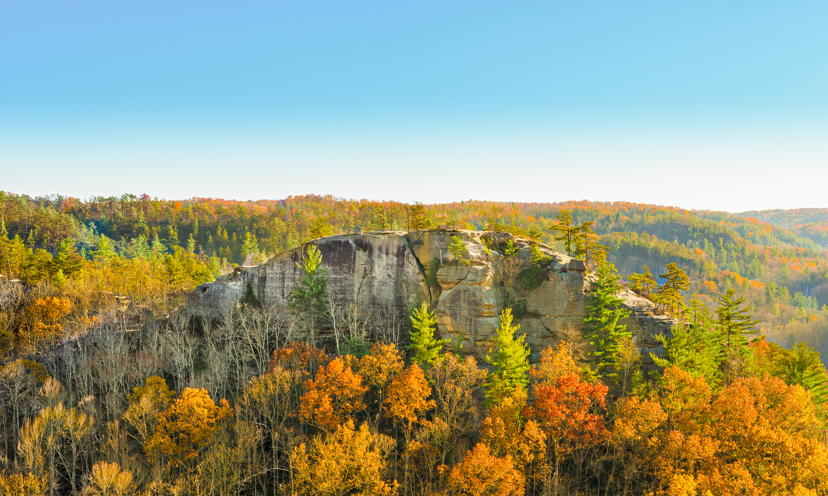 Zip Lining at Red River Gorge, Campton, Kentucky