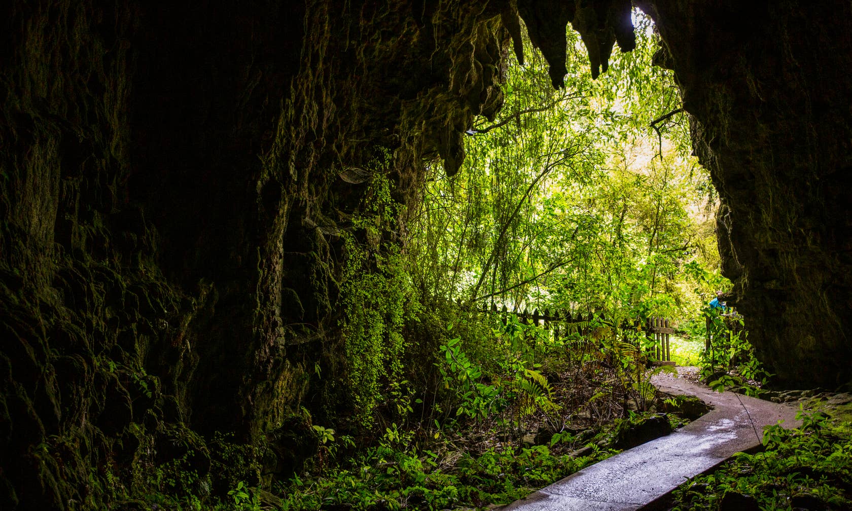 Ваканционни жилища под наем в района на Waitomo Caves