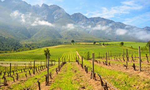 Iindawo zeholide eziqeshisayo eTulbagh