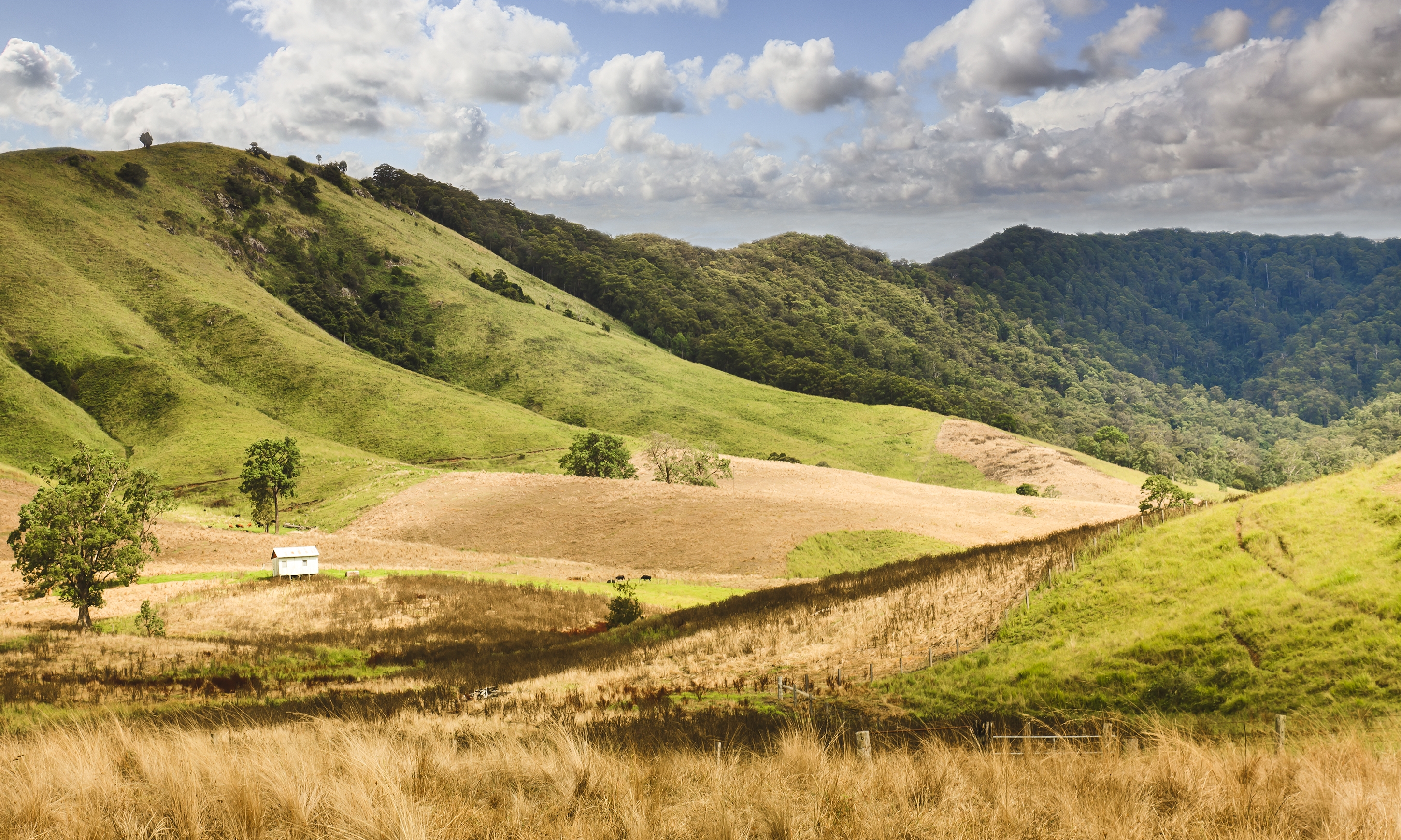 Barrington Tops Жилье - Новый Южный Уэльс, Австралия | Airbnb