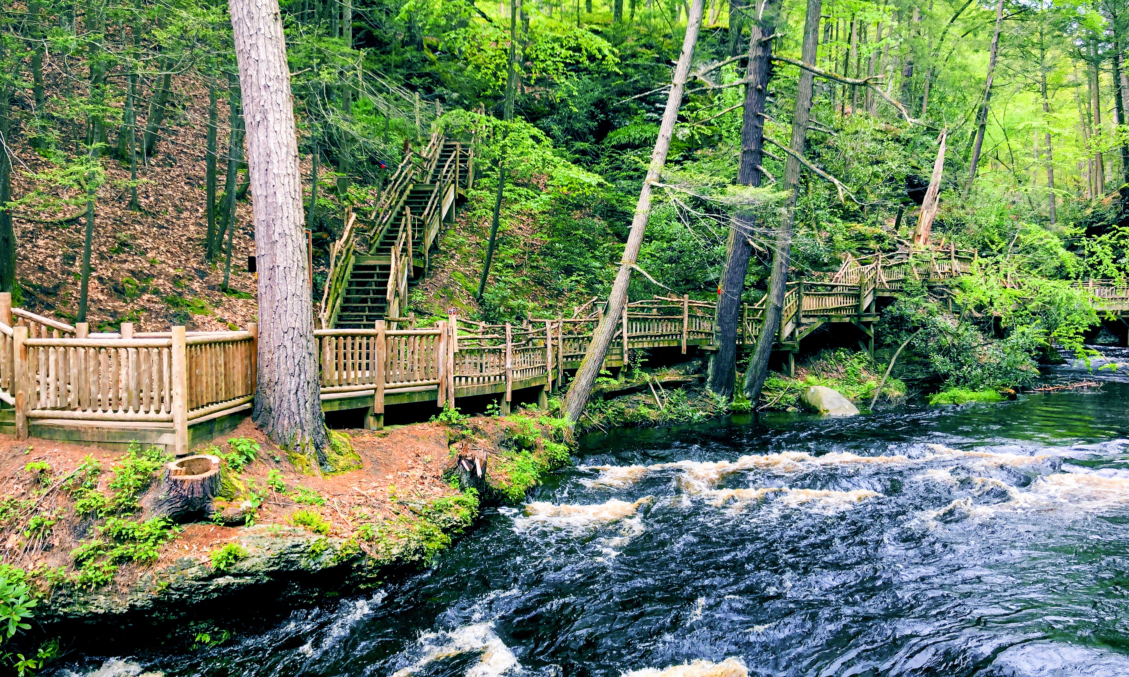 Best Fishing Places in the Poconos