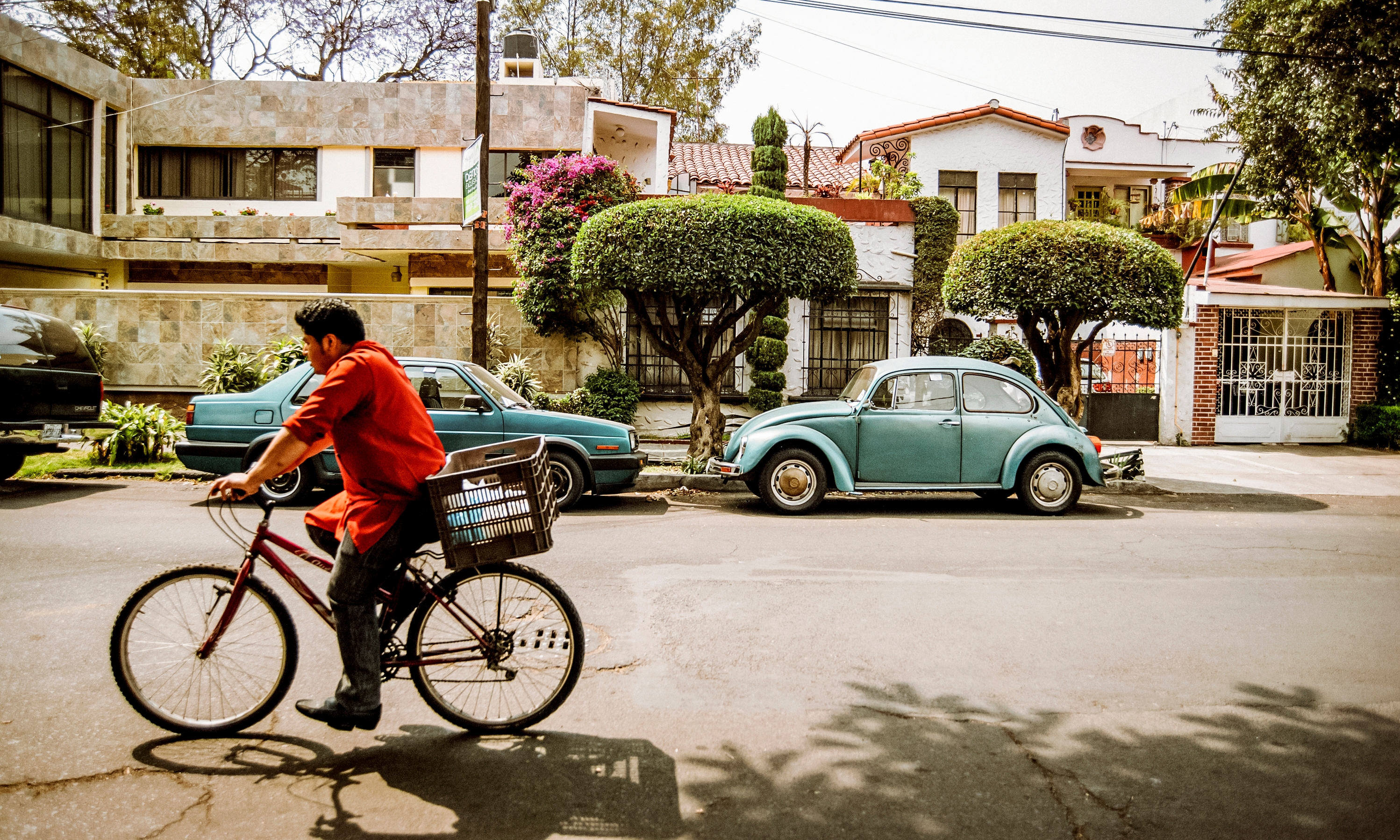 Polanco, Mexico City Guide - Airbnb Neighborhoods