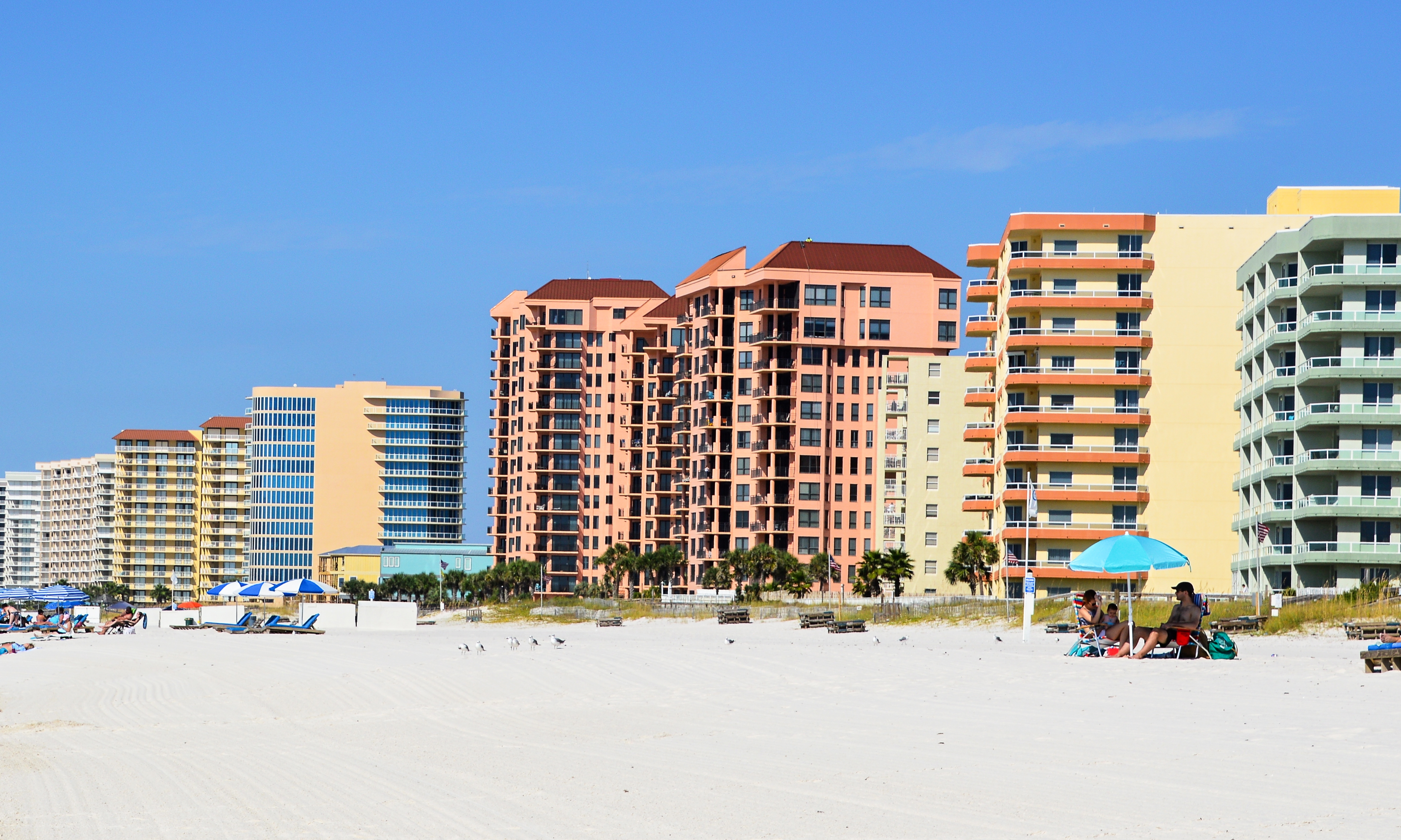 Ultimate Guide to Pet Friendly Condos in Orange Beach