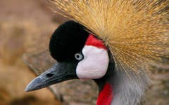Photo of Denver Zoo