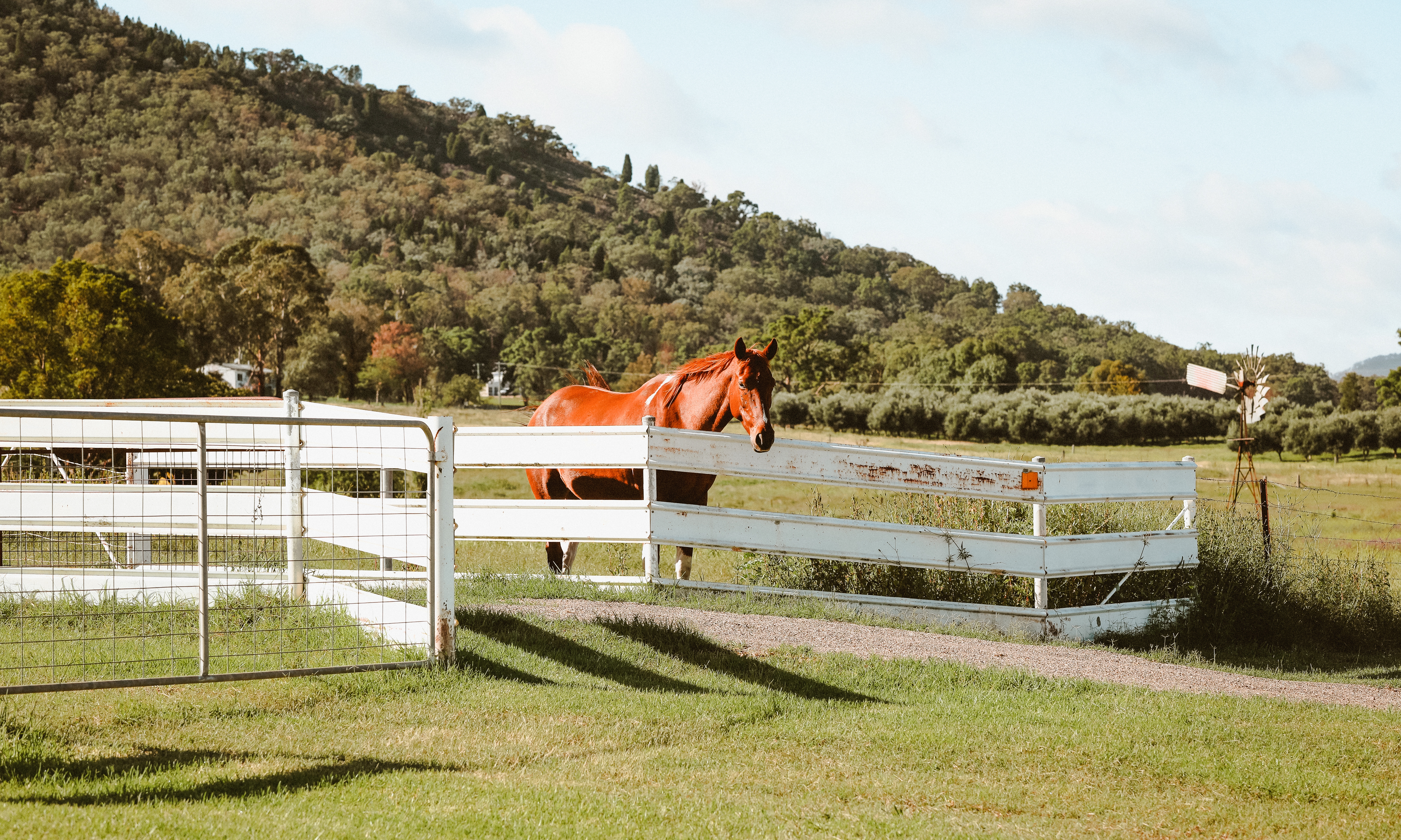 Mudgee: аренда семейных домов - Новый Южный Уэльс, Австралия | Airbnb