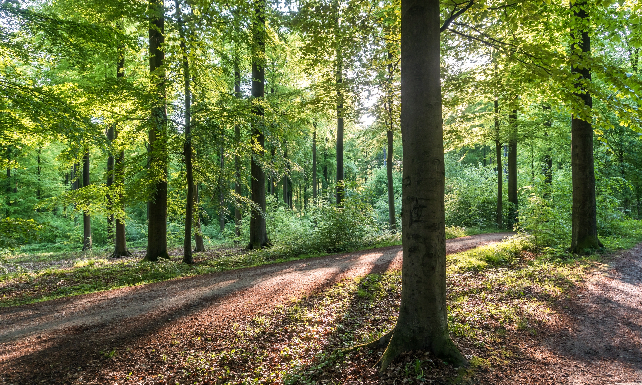 500+ Ferienwohnungen am Schwarzwald, Wohnungen und Mehr