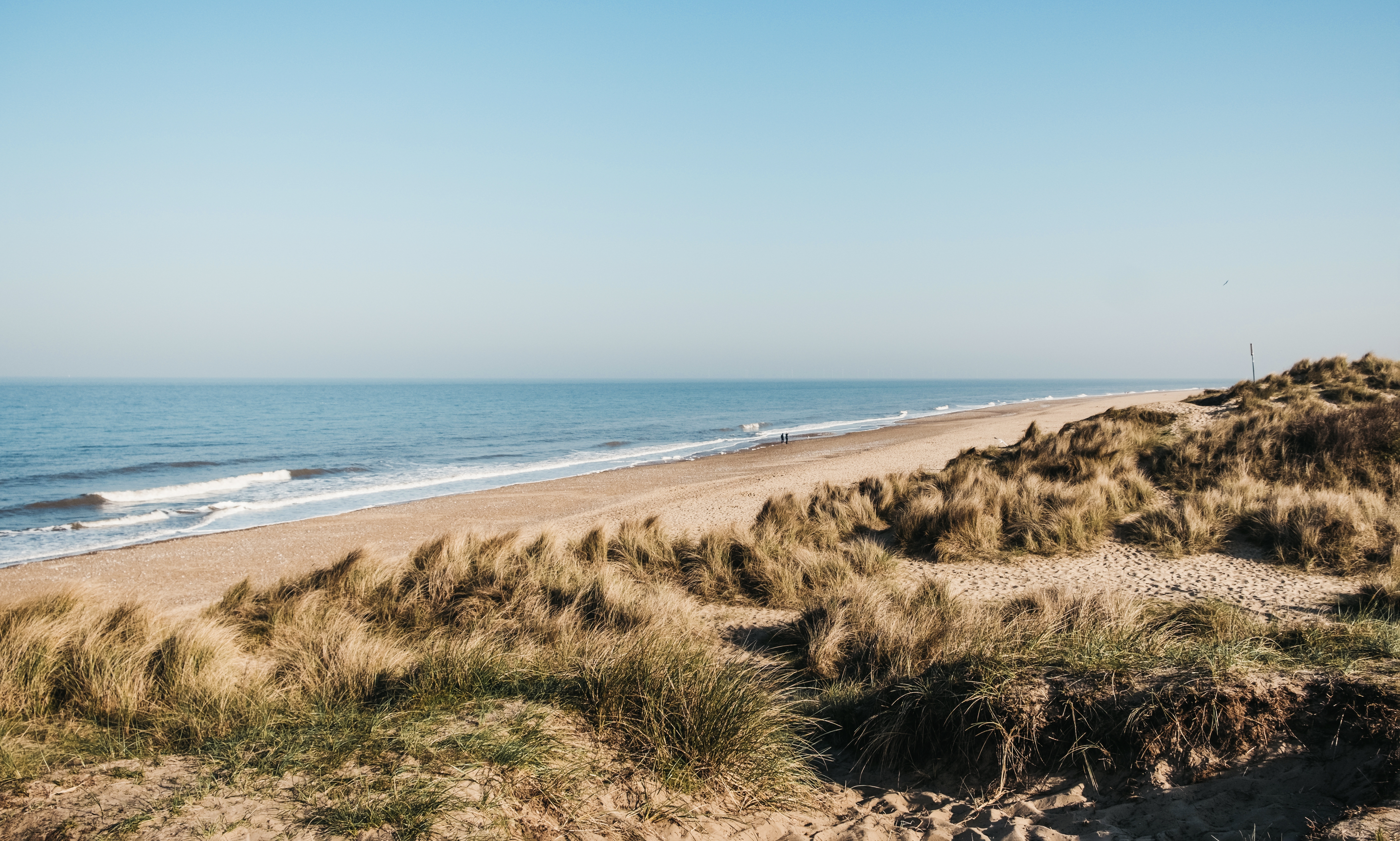 is caister beach dog friendly