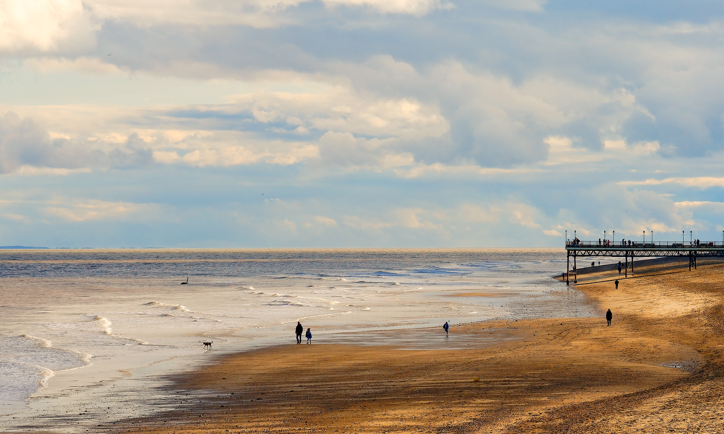 does skegness beach allow dogs