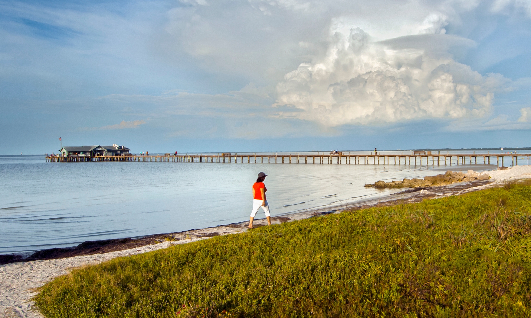 Blue Pineapple - Vacation Rental in Holmes Beach,FL