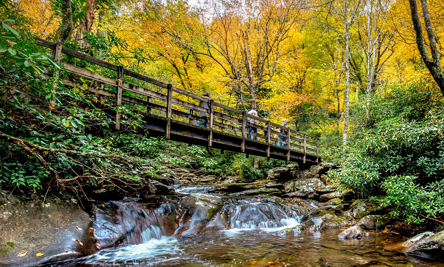 Pigeon Forge Жилье - Теннесси, США | Airbnb