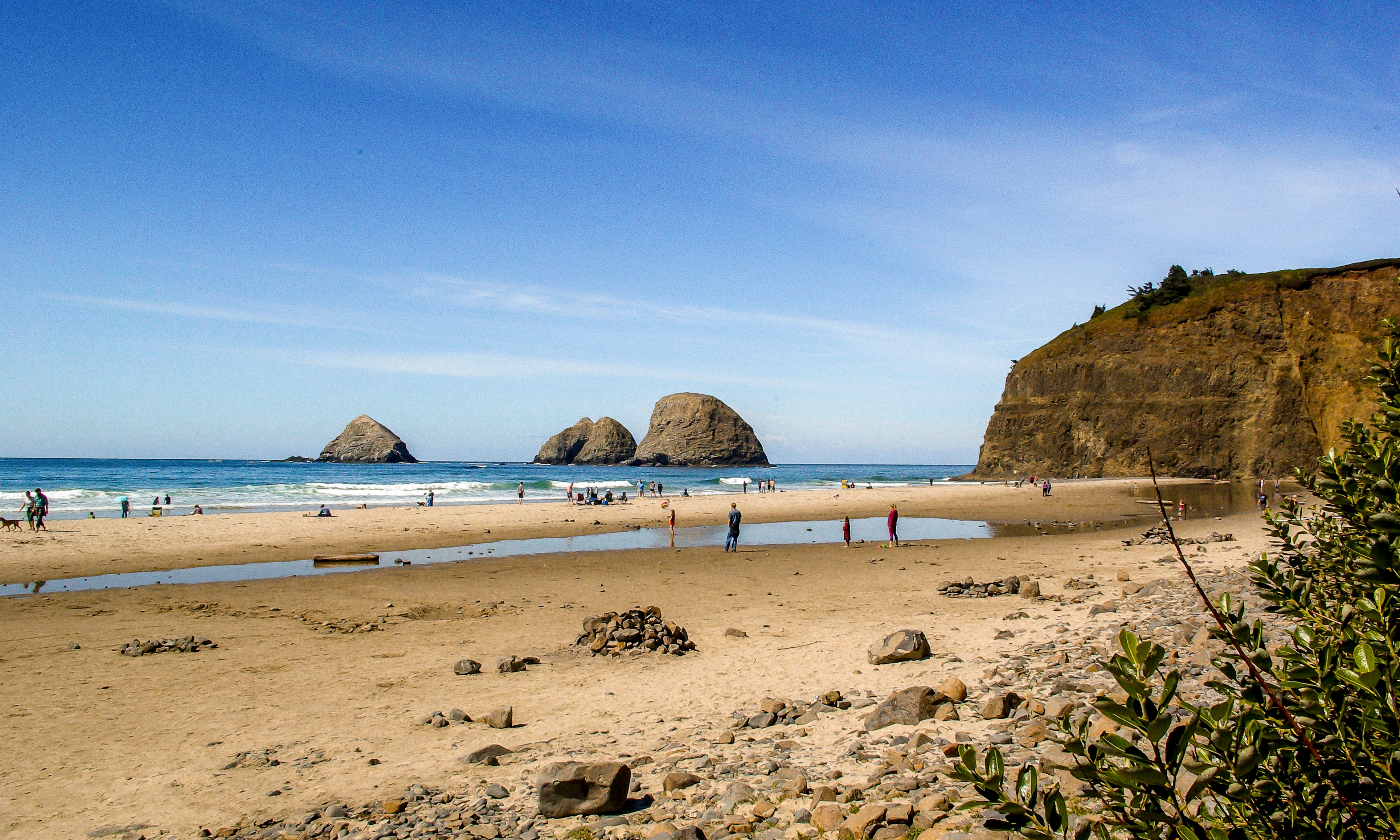 are dogs allowed on oregon coast beaches