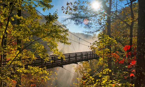 Sehemu za upangishaji wa likizo huko Tallulah Falls
