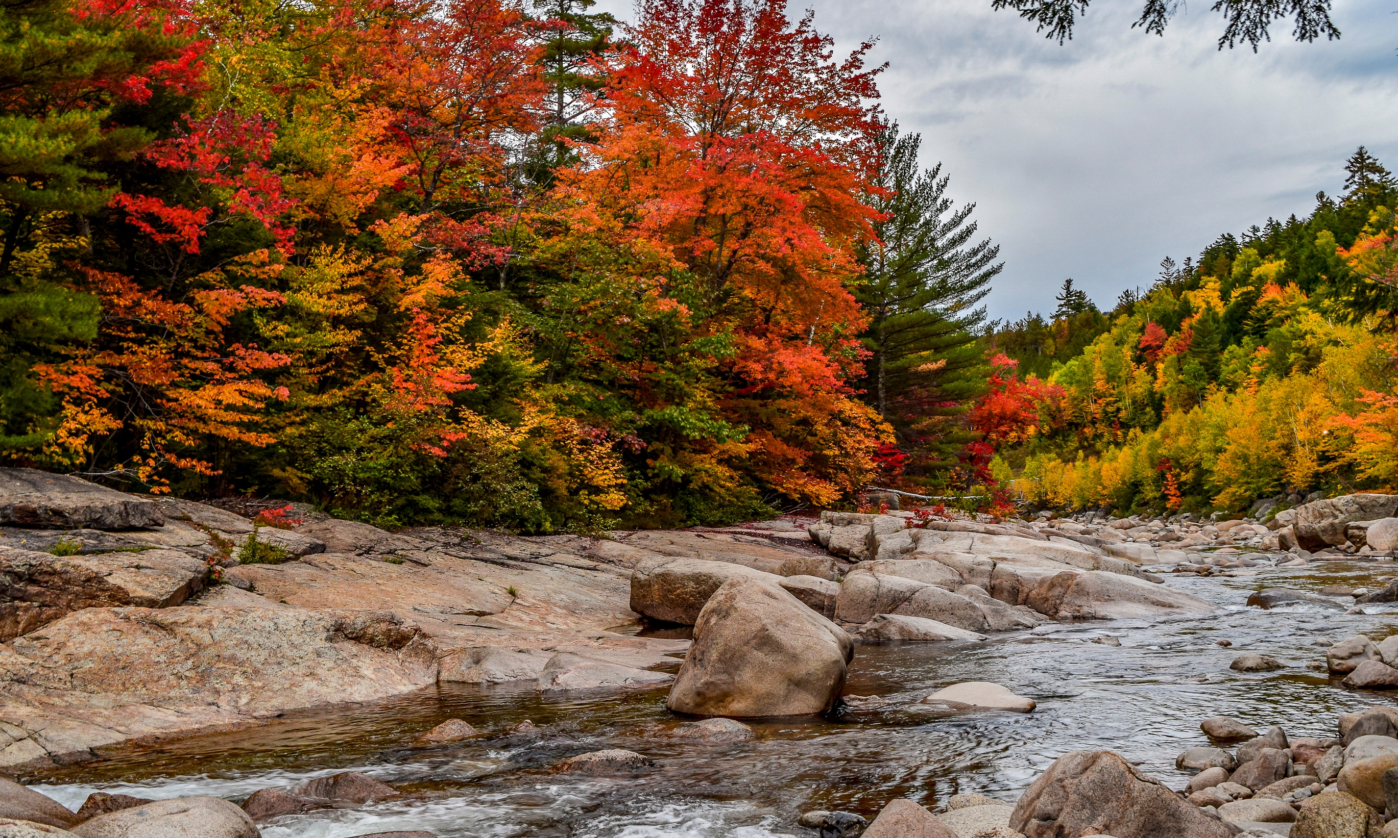 Moose Creek Lodge - The White Mountains Getaway - Pet Friendly!, Bethlehem  – Updated 2024 Prices