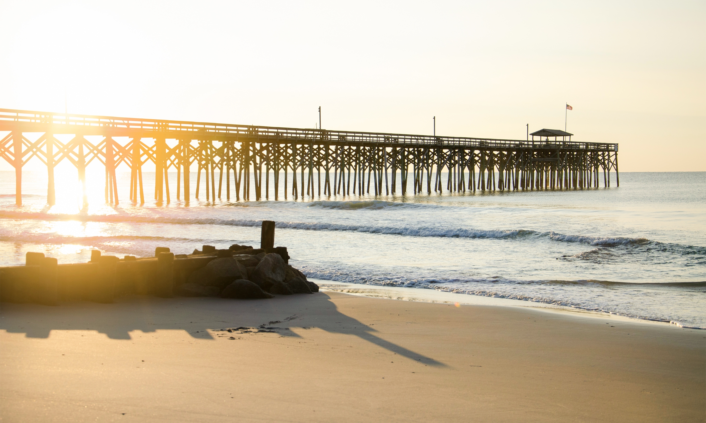 How to Spot a Sand Dollar on the Beach - Kiawah Island Getaways