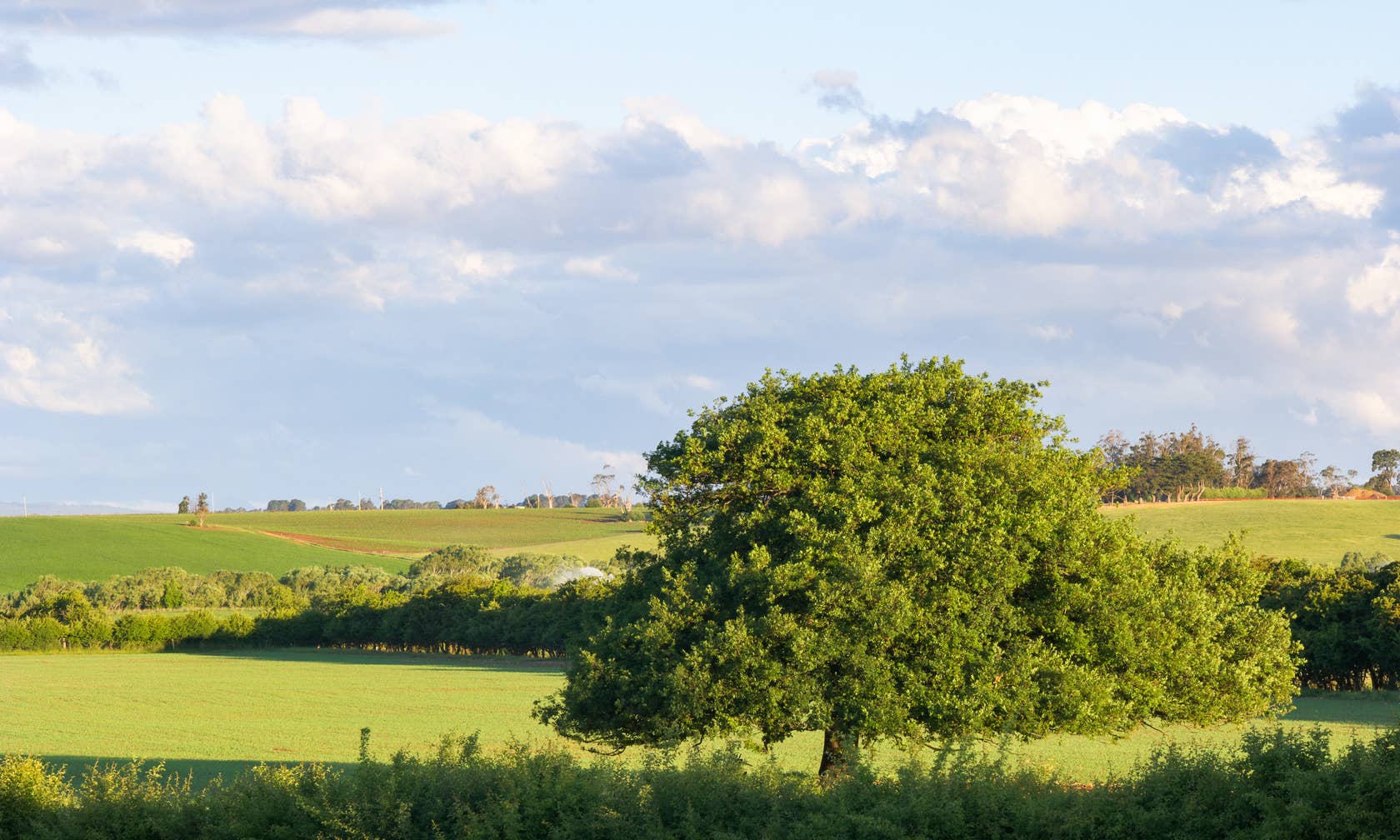 Longford Vacation Rentals & Homes Tasmania, Australia Airbnb