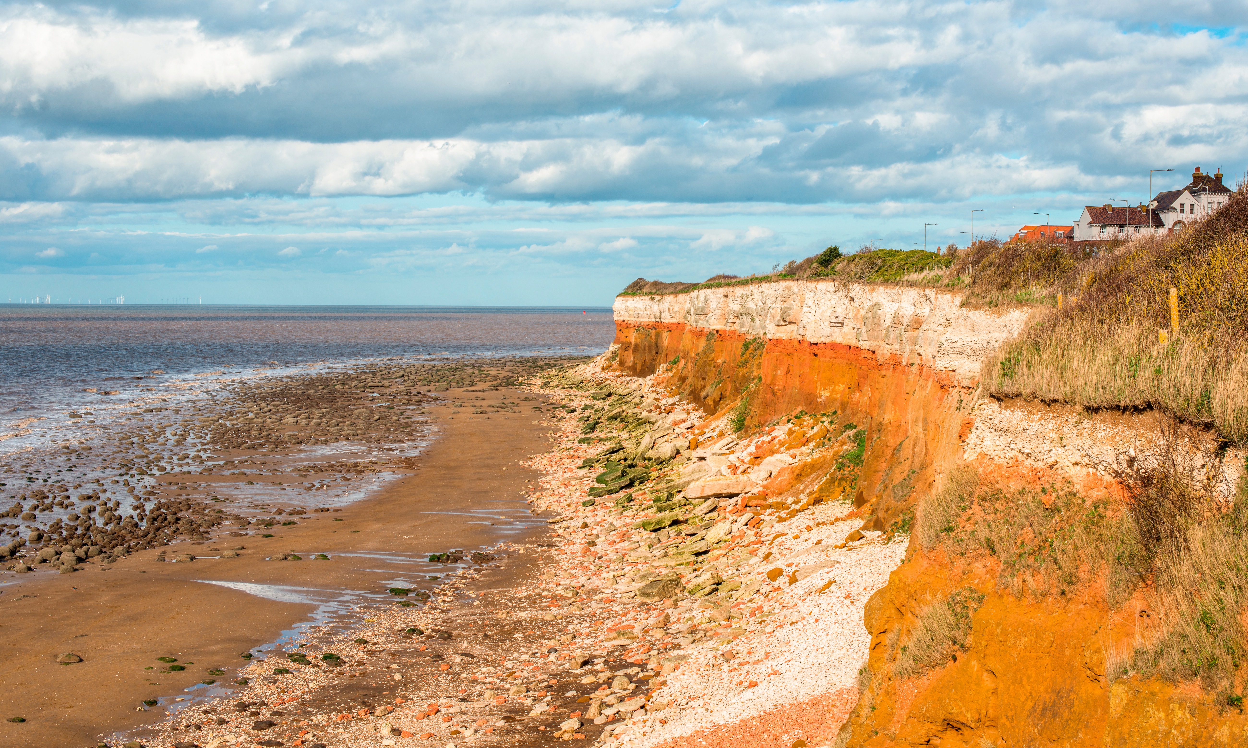 can you take dogs to hunstanton beach