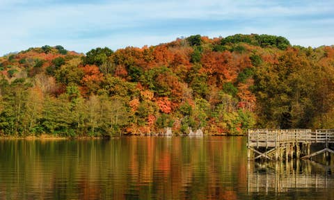 Cabin rentals in Dale Hollow Lake