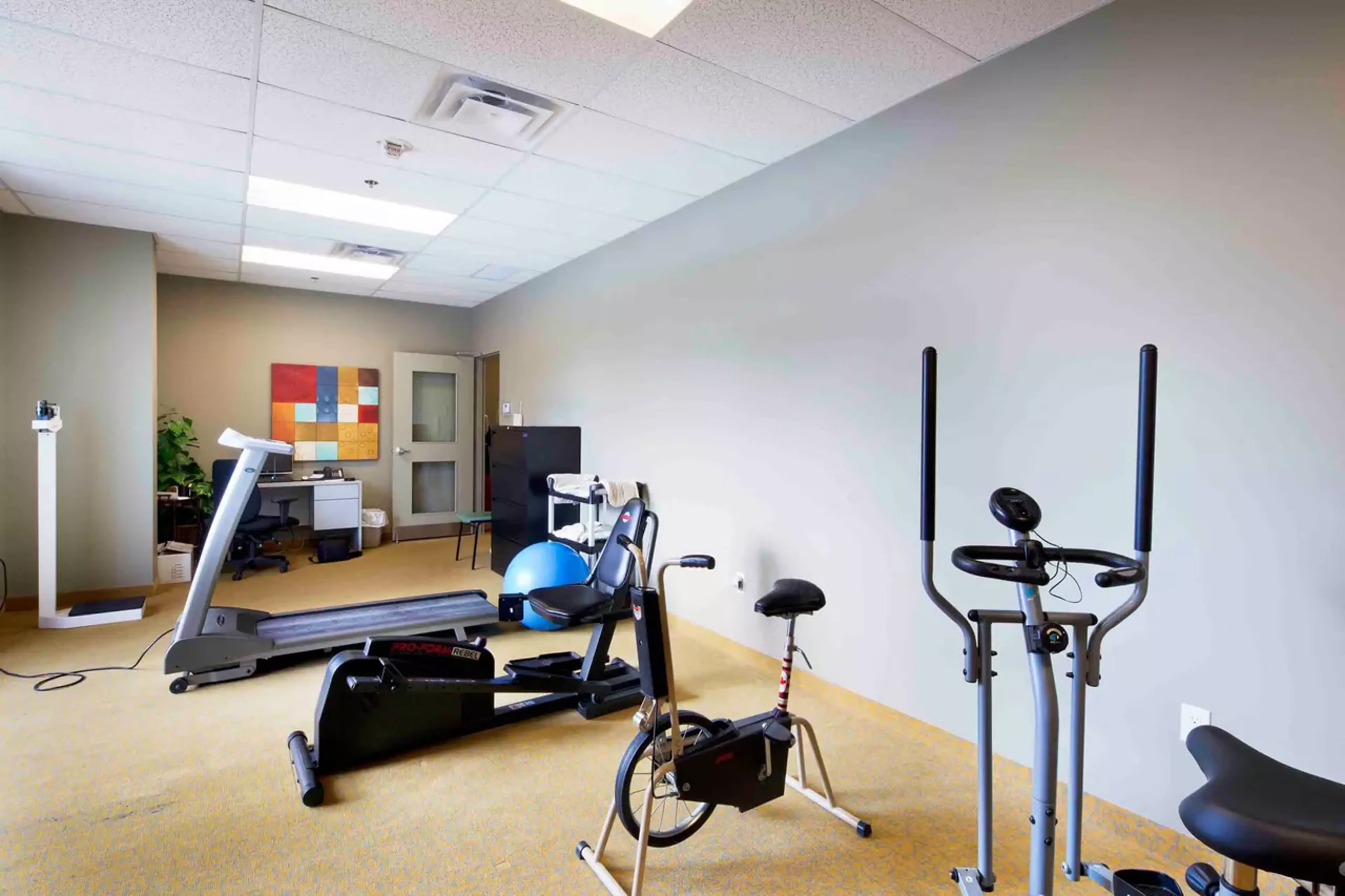 Port Perry Villa Exercise Room