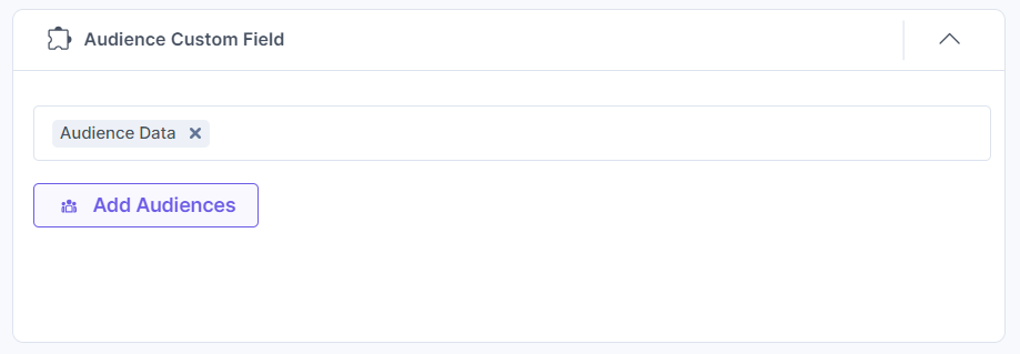Audience-Adding-Custom-Field