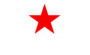 heineken logo.png