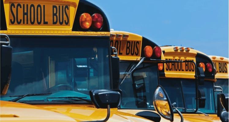 A fleet of school buses