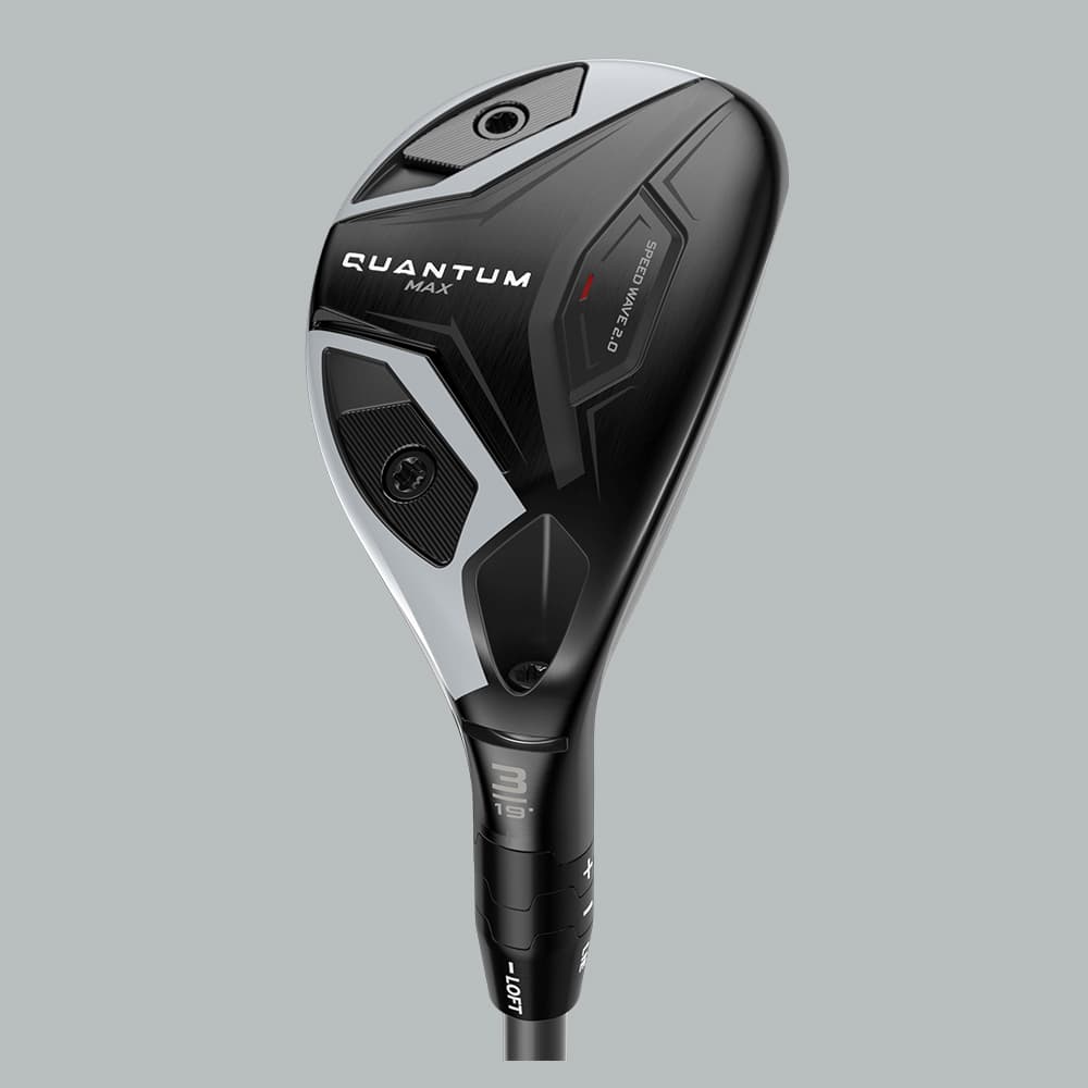 View: 하이브리드