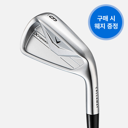 엑스포지드 26 크롬 아이언