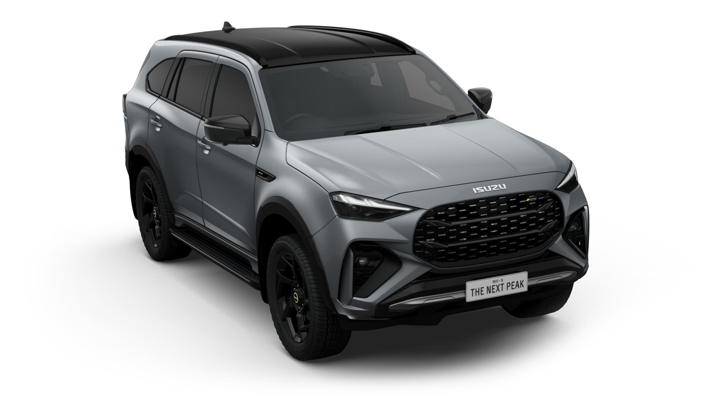 RS Model