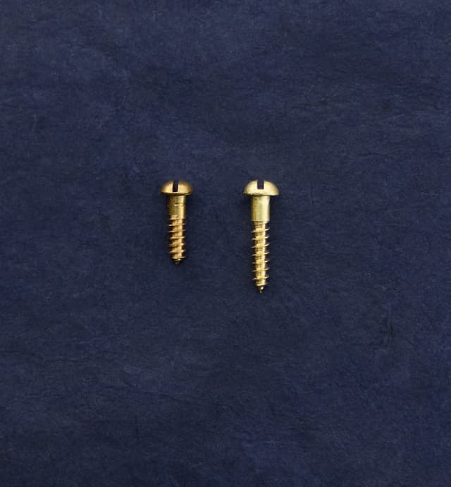 image of #3 Round-Head Brass Screws