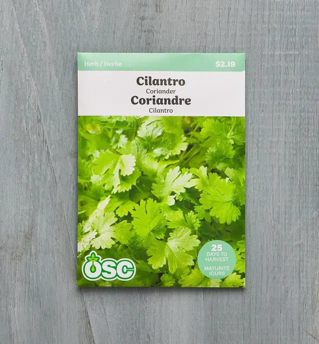 image of Sachet de semences de coriandre (cilantro) biologique OSC