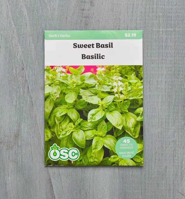 image of Sachet de semences de basilic biologique OSC