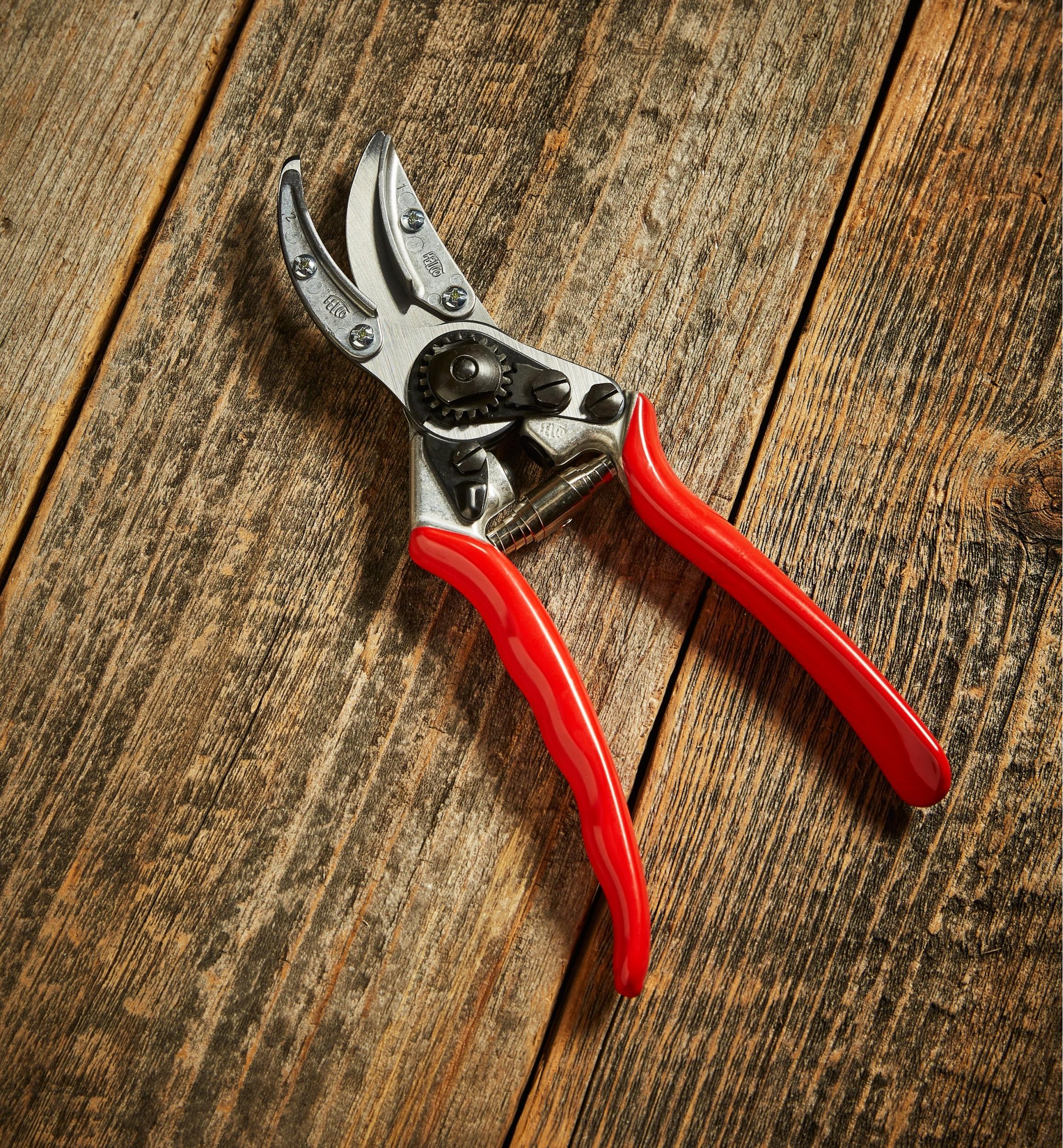 Felco #100 Cut-&-Hold Pruner
