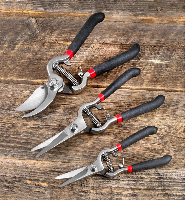 image of Set of 3 Stainless-Steel Pruning Tools