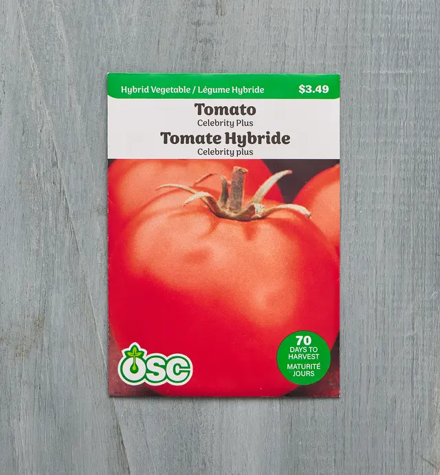 image of Sachet de semences OSC – Tomate hybride Celebrity Plus