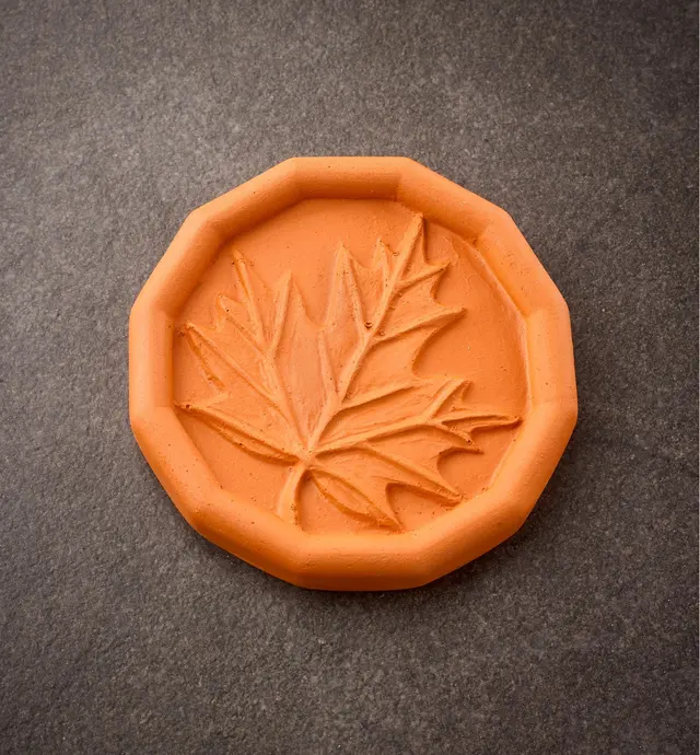 image of Brown Sugar Saver