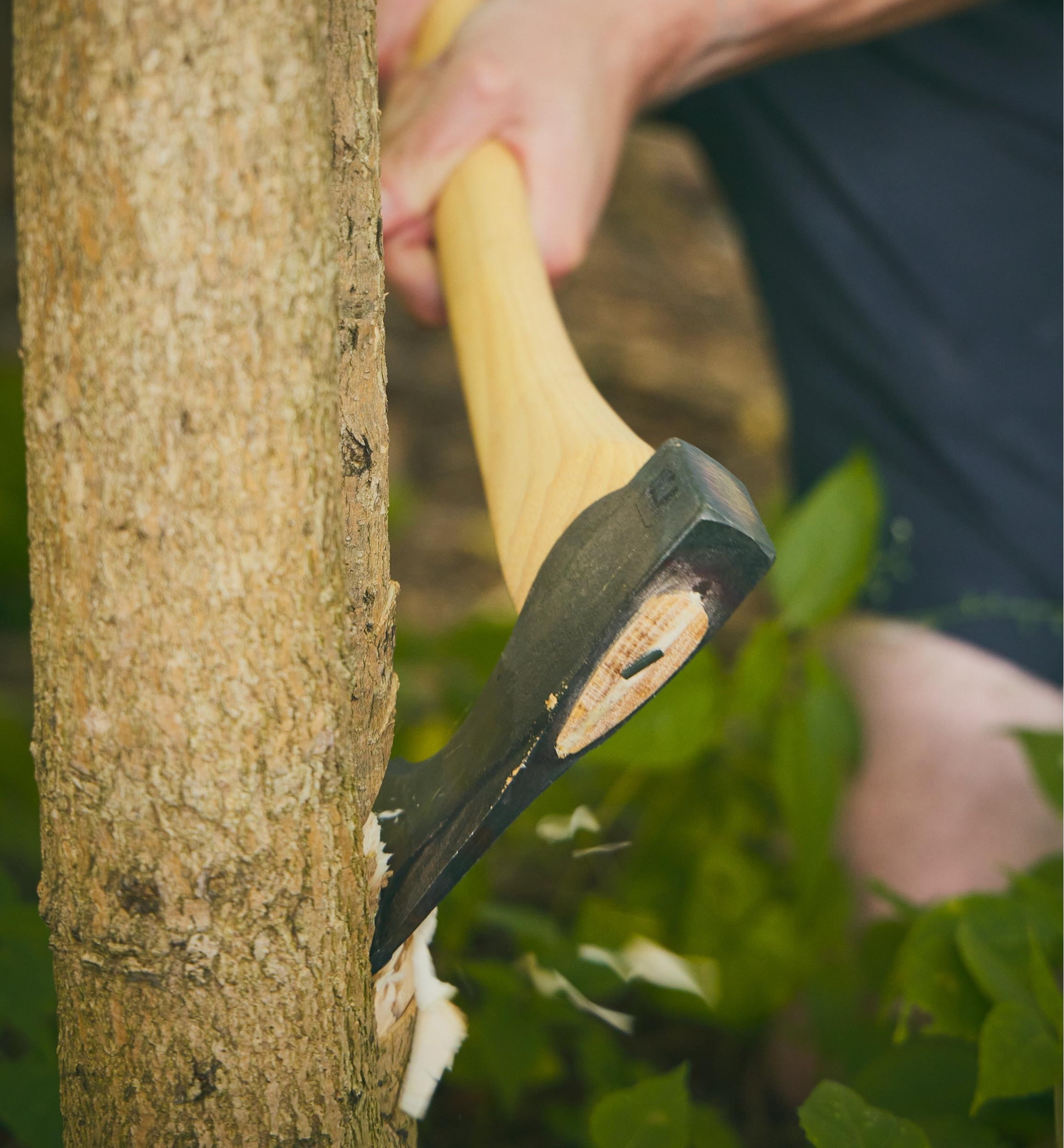 Hache Wood-Craft, 24 po
