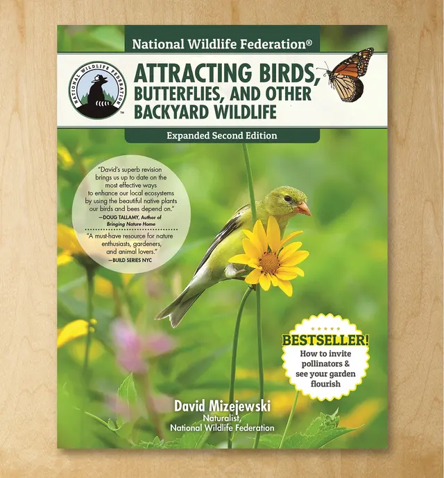 image of National Wildlife Federation: Attracting Birds, Butterflies, and Other Backyard Wildlife, Expanded Second Edition