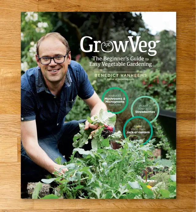 image of GrowVeg: The Beginner's Guide to Easy Vegetable Gardening