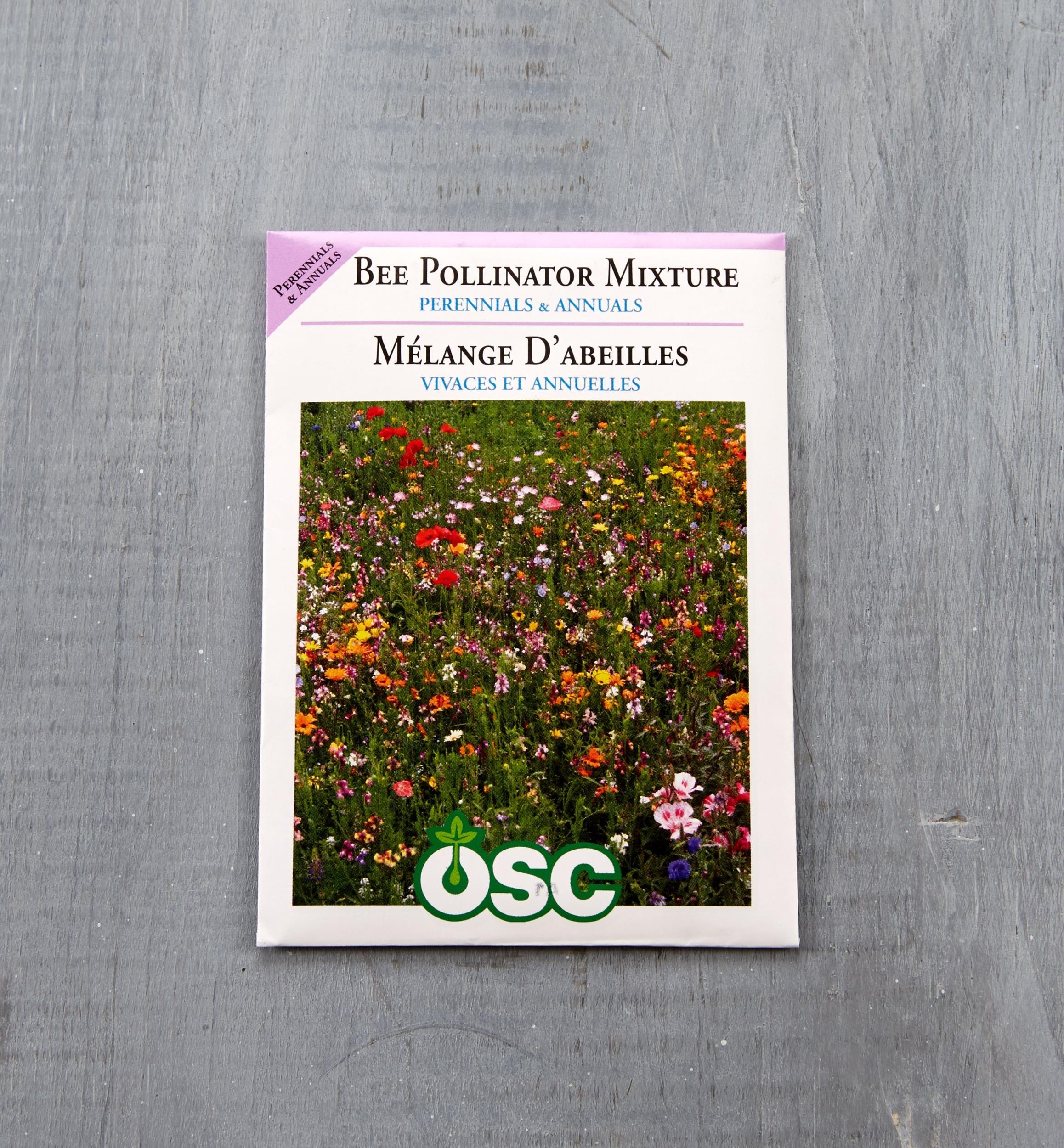 Sachets de semences fleurs OSC