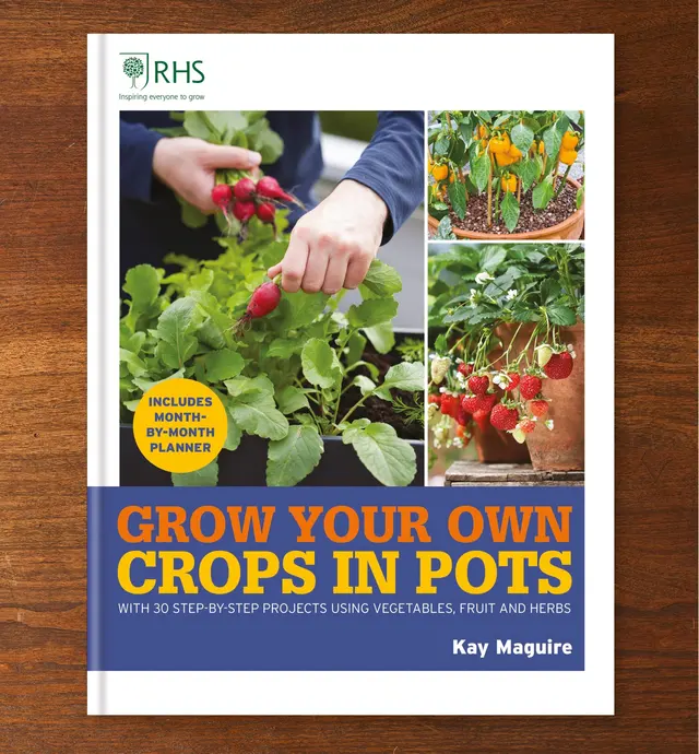 image of Grow Your Own: Crops in Pots