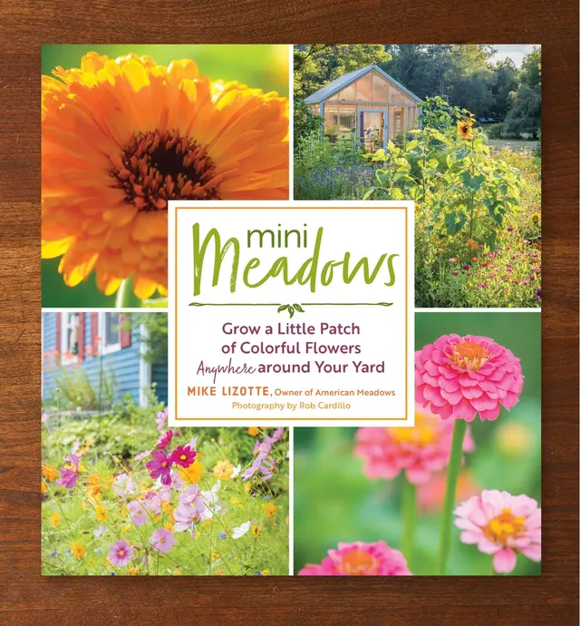 image of Mini Meadows