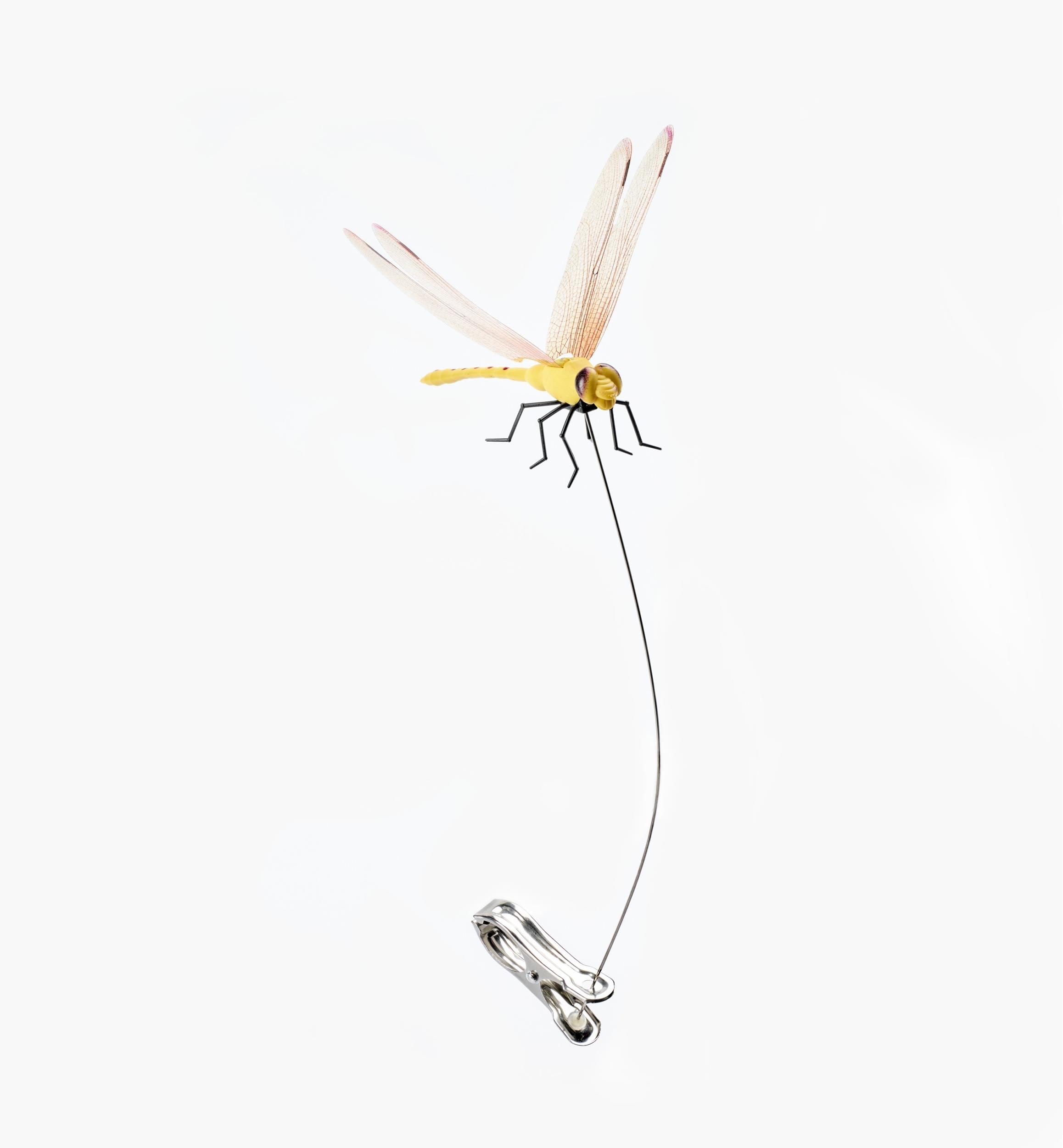 Libellule effaroucheuse Dragonfly Wingman