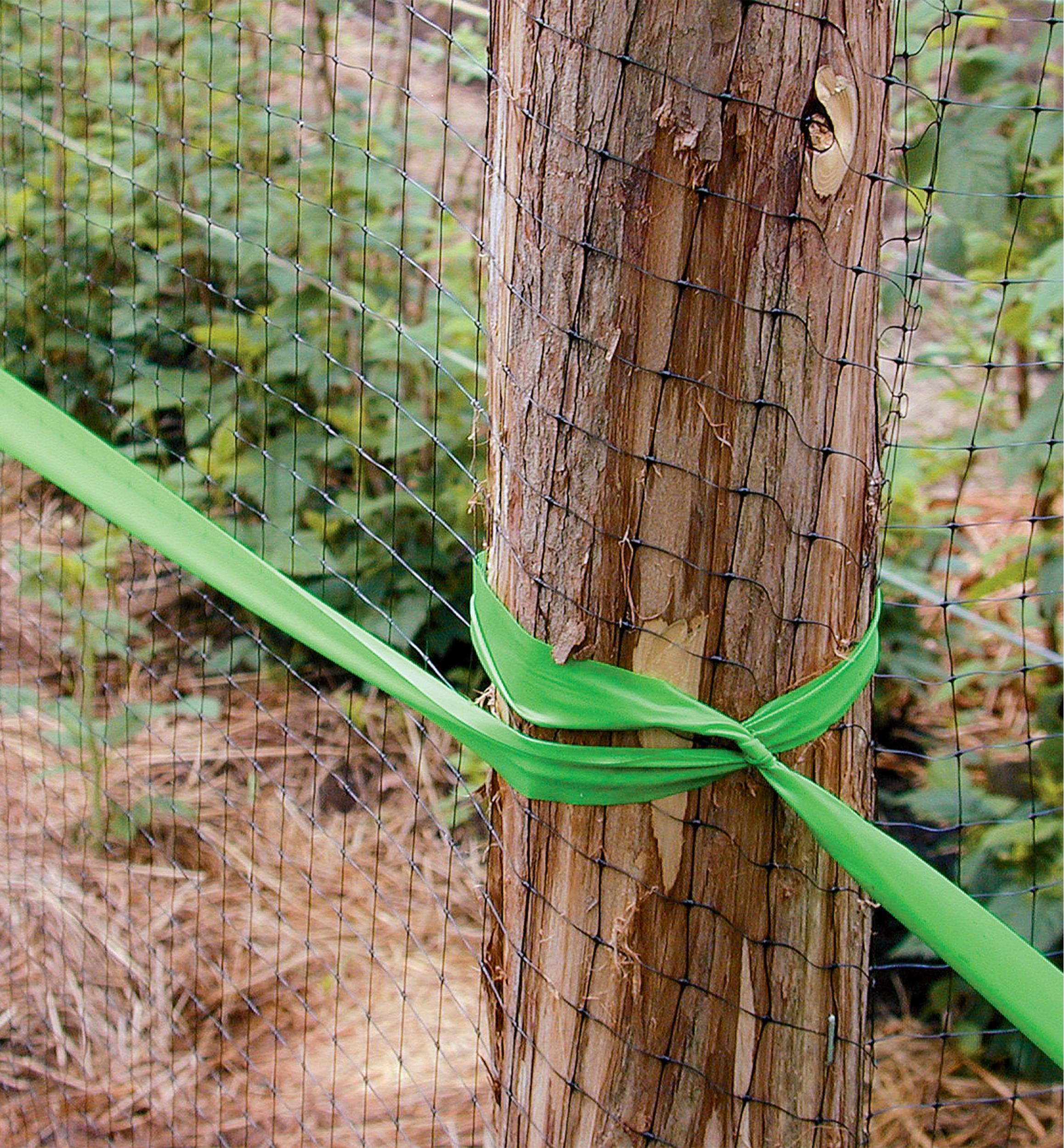 Deer Fence